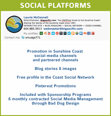 social platform promotions and monthly social media management